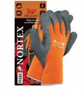 NORTEX